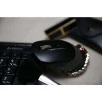 Мышь A4Tech Fstyler FG10S (черный/серый) фото 12